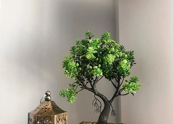 Διαμέρισμα Shestani