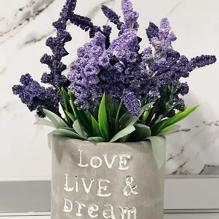 Shestani 아파트 *