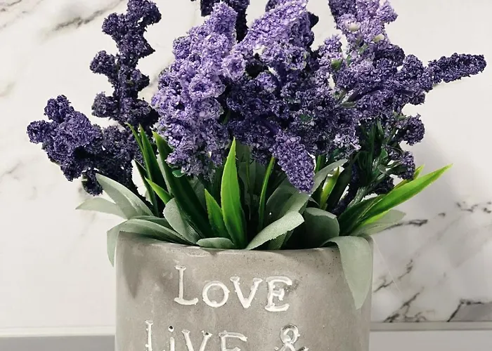 Shestani Apartamento *